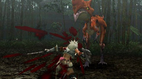 Monster Hunter Freedom — скриншот 2