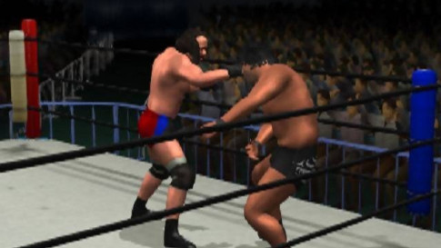 All Star Pro-Wrestling — скриншот 4