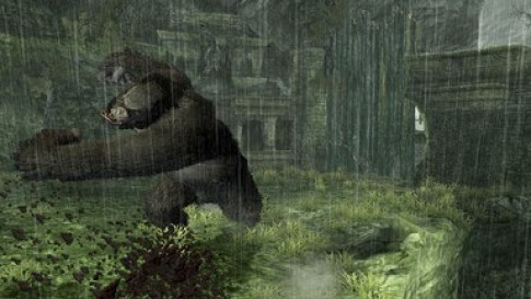 Peter Jackson's King Kong: The Official Game of the Movie — скриншот 3